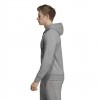 ADIDAS Category Graphic Hoody DU5337