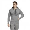 ADIDAS Category Graphic Hoody DU5337
