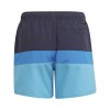 ADIDAS Colorblock Swim Shorts HD7374